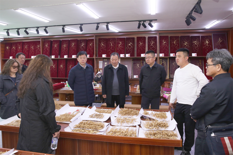 通化县人民政府